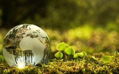 Transdisciplinaridade